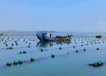 ศุลกากรเมืองหรงเฉิง ลดเวลากักกันเรือประมงน้ำลึกจาก 1.5ชม.เหลือ15นาที