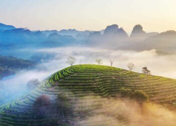 ‘หนานผิง’ หนุนพัฒนาสีเขียว ‘อุทยานแห่งชาติอู่อี๋ซาน’ ผ่านมาตรการบูรณาการ