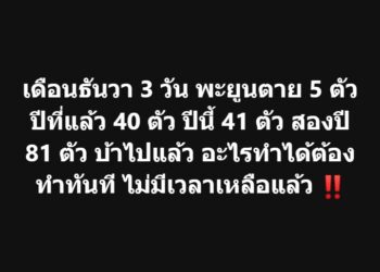 รายงานพิเศษ : สัญญาณเตือนภัยจาก‘ธรณ์ ธำรงนาวาสวัสดิ์’ แค่สองปี พะยูนตาย 81 ตัว