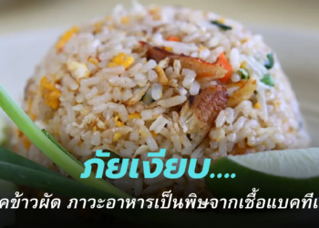 โรคข้าวผัด ภาวะอาหารเป็นพิษจากเชื้อแบคทีเรีย