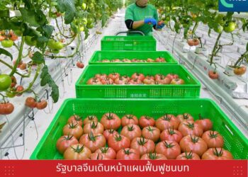 รัฐบาลจีนเดินหน้าแผนฟื้นฟูชนบท ยกระดับภาคการเกษตร ด้วยเทคโนโลยีและนวัตกรรม