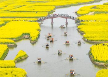 จีนจัดการพัสดุกว่า 2.8 พันล้านชิ้น ช่วงหยุด‘เช็งเม้ง’ที่ผ่านมา