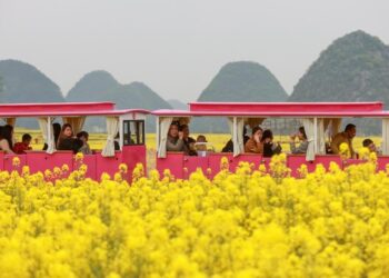 เช็งเม้งคึกคัก! คนแห่เที่ยวชมดอกไม้-ธรรมชาติ รับฤดูใบไม้ผลิ