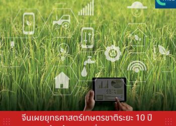 จีนเผยยุทธศาสตร์เกษตรชาติระยะ 10 ปี เดินหน้าสร้างความมั่นคงทางอาหาร