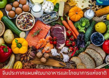 จีนประกาศแผนพัฒนาอาหารและโภชนาการแห่งชาติ (ค.ศ. 2025–2030) ปรับพฤติกรรมการกิน ยกระดับสุขภาวะประชาชน