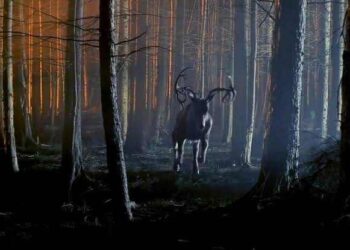 “Bambi The Reckoning- แบมบี้” ความสยองอันดับที่ 4 ในจักรวาล Twisted Childhood พร้อมให้คอหนังพิสูจน์ความน่าสะพรึงกลัว 4 กันยายนนี้แน่นอน