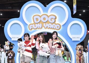 THE MALL เปิดโลกสัตว์เลี้ยงแสนรัก 5 โซนพิเศษฮีลใจ Pet Parent พร้อมบริการตรวจสุขภาพ ฝังไมโครชิพ–วัคซีนฟรี!