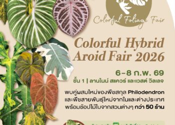 Colorful Hybrid Aroid Fair 2026 ชวนช้อปชมโชว์ความงดงามไม้ใบไม้ด่าง 6-8 ก.พ.นี้ ที่เดอะไนน์ พระราม 9