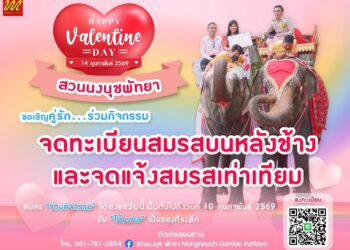 สวนนงนุชพัทยา เปิดรับสมัครคู่รักร่วมจดทะเบียนสมรสบนหลังช้าง ครั้งหนึ่งในชีวิตที่น่าจดจำ วาเลนไทน์ 14 กุมภาพันธ์ 2569 จำนวนจำกัด !