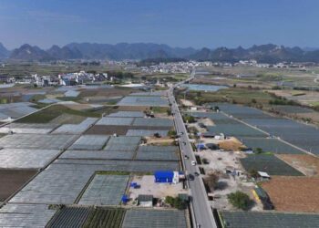 จีนกางแผนยุทธศาสตร์ปี 2026 ‘ความมั่นคงทางอาหาร – แก้จนระยะยาว – พัฒนาชนบท’ 3 เสาหลัก