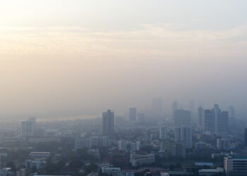 PM2.5 ฝุ่นพิษทะลุปอดสู่กระแสเลือด ตัวเร่งโรคร้ายที่มองไม่เห็น