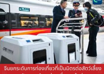 จีนเร่งสร้างมาตรฐานการท่องเที่ยวที่เป็นมิตรต่อสัตว์เลี้ยง รับเทรนด์การบริโภคยุคใหม่