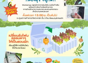 ลดขยะ เพิ่มพื้นที่สีเขียว! พาราไดซ์ พาร์ค จับมือ เขตประเวศ จัดกิจกรรม “กล่องสุข ปลูกผัก”