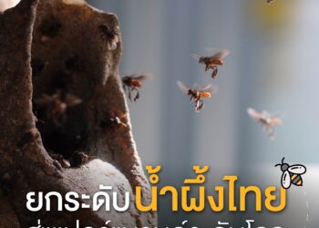 ยกระดับน้ำผึ้งไทยสู่ซูเปอร์แบรนด์ระดับโลก
