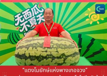 ‘แตงโมยักษ์แห่งพางเกอจวง’ กับการต่อยอดมรดกเกษตรด้วยเทคโนโลยีสมัยใหม่