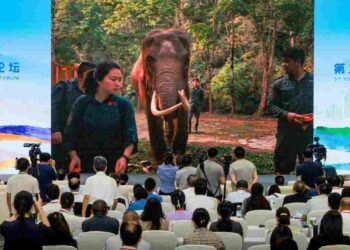 ยูนนานจัดเวทีการประชุมการสื่อสารสากล ชู ‘ช้างเอเชีย’ เชื่อมสัมพันธ์โลก