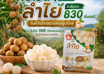 เซเว่นฯ หนุนชาวสวนลำไย 3 จังหวัดภาคเหนือ รับซื้อกว่า 830 ตันต่อปี ดันลำไยอีดอพวงสดสู่ผู้บริโภค