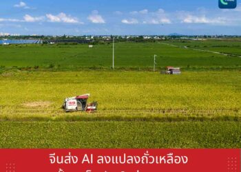 จีนส่ง AI ลงแปลงถั่วเหลือง ปั้นเมล็ดพันธุ์แห่งอนาคต