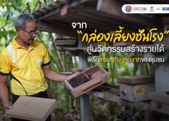 จาก “กล่องเลี้ยงชันโรง” สู่นวัตกรรมสร้างรายได้ พลิกเศรษฐกิจฐานรากของชุมชน
